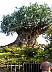 treeoflife1.jpg